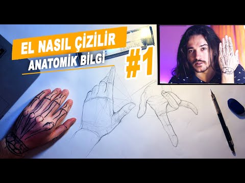 Video: İnsan Eli Nasıl çizilir