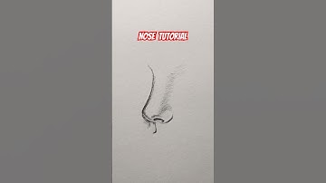 How to Draw a Realistic Nose Step by Step