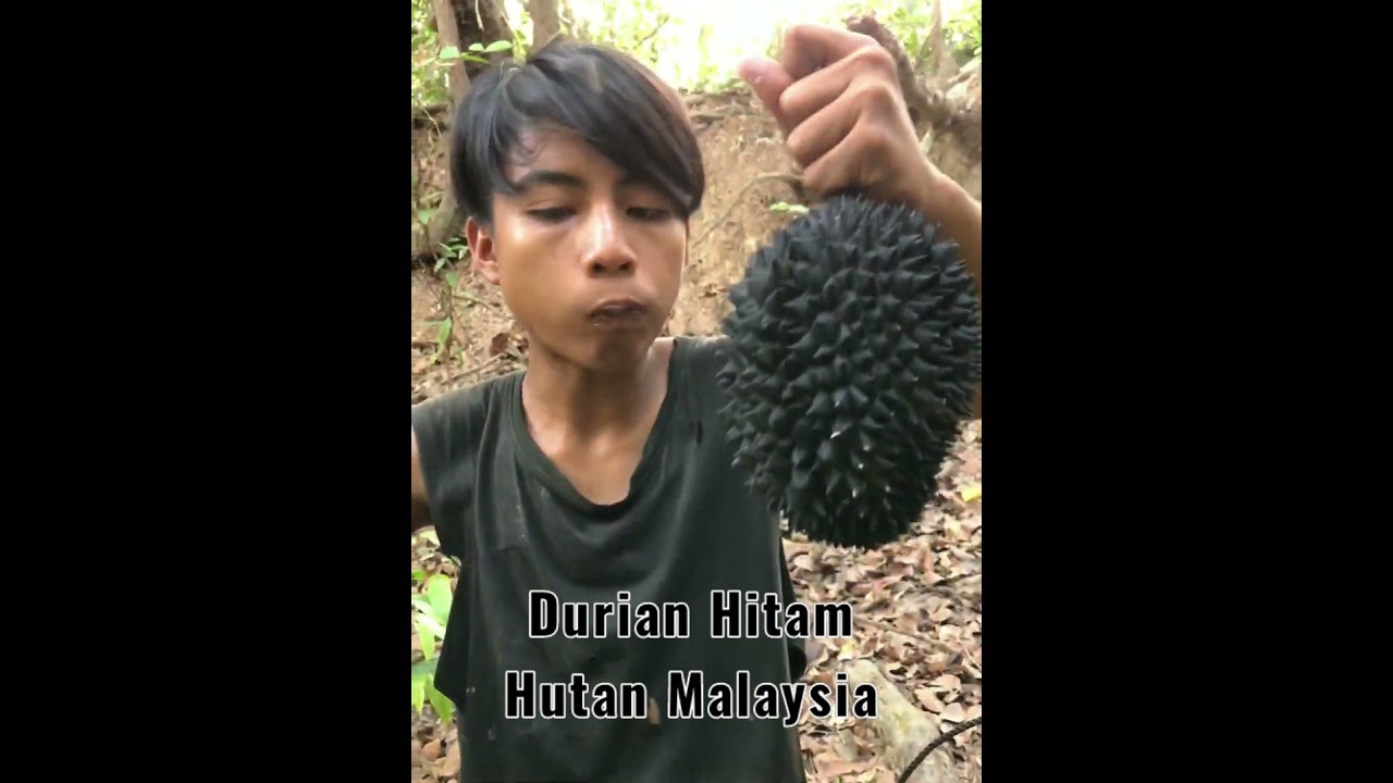 Durian Hitam