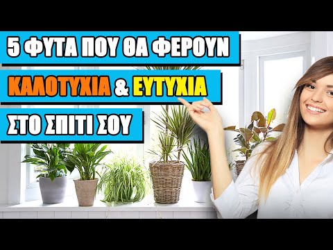 Βίντεο: Φυτά για ευημερία - Λουλούδια που συμβολίζουν την καλή τύχη