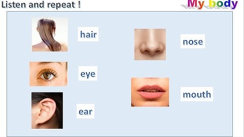 connect plus kg1 term1 unit1 my body 0