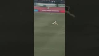 Mesut Ozil - Tuesday Edit