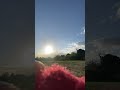 jamaica kite flying nice like grenads kites machine daddy