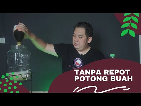 Video: Cara Memasak 