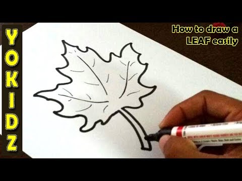 12 Step-by-step Tutorials for Drawing a Leaf | Inspirationfeed