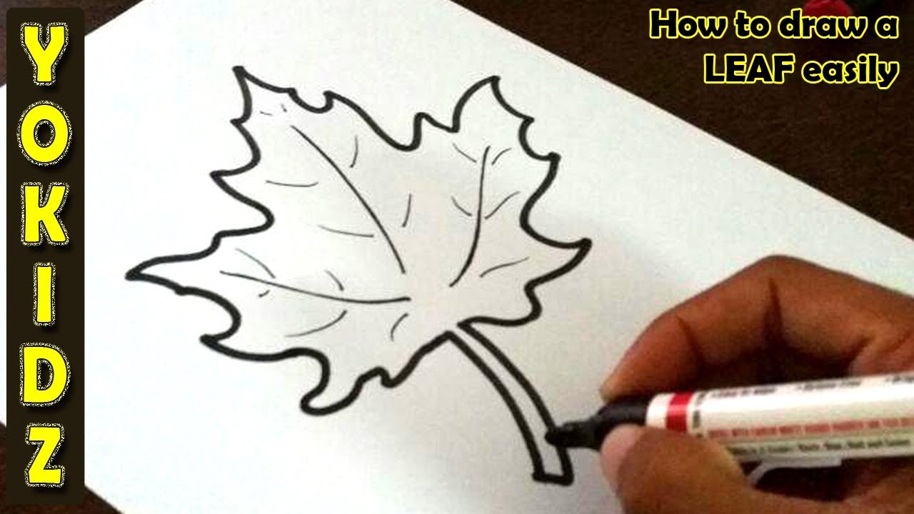 Leaf Outline Maple Drawing Gallery Transparent Png - Simple Maple Leaf  Drawing, Png Download - kindpng