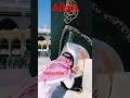 بوم مری الفت مدینه Se 
