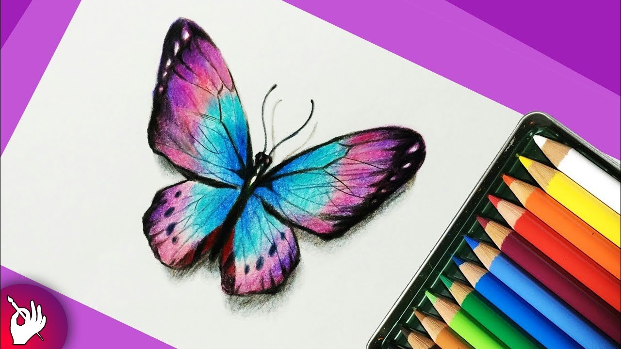 Butterfly Drawing With Colour, HD Png Download , Transparent Png Image -  PNGitem