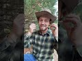 Chicken Feather Arrows?? #survival #archery #hunting #campfire #outdoors #bushcraft