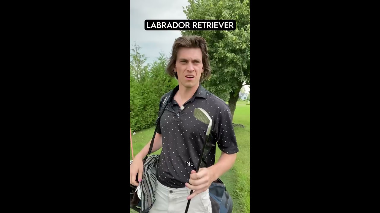 How Dog Breeds Golf