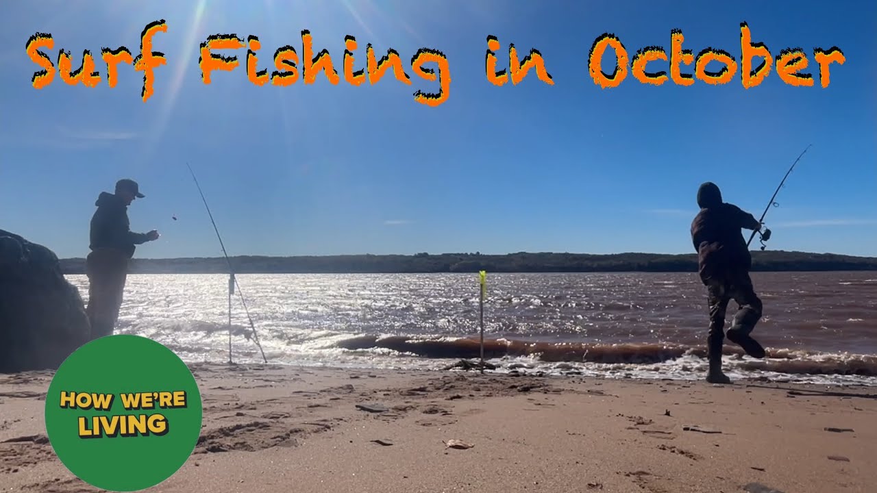 October striped bass fishing in Minas Basin