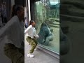 Girl vs Gorilla Dance 💃🦍 | Gorilla Copies Her Dance PERFECTLY! (UNREAL) #gorilla #gorilladance
