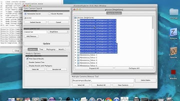 JContextExplorer Tutorial 01: Getting Started