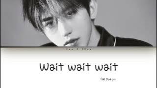 Cai Xukun (蔡徐坤) - Wait Wait Wait Lyrics