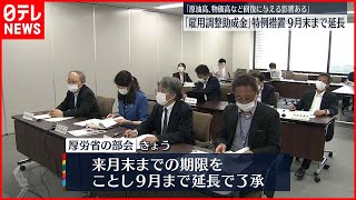 【厚生労働省】｢雇用調整助成金｣特例措置  9月末まで延長