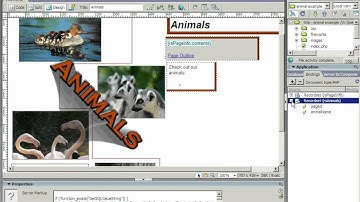 Day 3 - Multiple Records.wmv