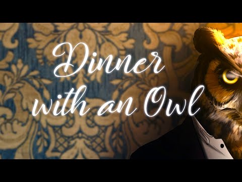 Прохождение➤Dinner with an Owl - А Я ДУМАЛА СОВА... (ПОЛНОЕ ПРОХОЖДЕНИЕ) 🦉