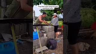 Mal0k0 forentertainmentporpusesonly funny funnys funnyshorts comedy comedys fun