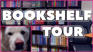 BOOKSHELF TOUR ~ library room tour, filming set up, and a surprise appearance from my dog 🐶