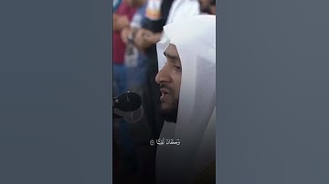 دع اصابعك تشهد لك واكتب شيئاً تؤجر عليه // سورة مريم الآية 12-15 القارئ نبيل الرفاعي