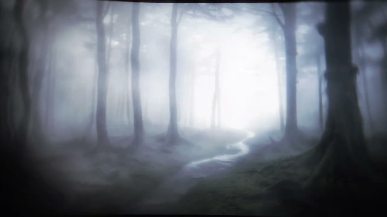 you can sleep in dark cold forest 