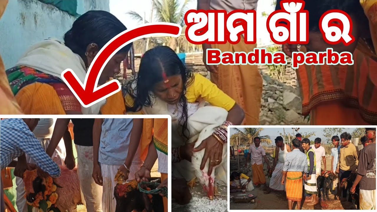 BANDHA JATRA POOJA AT (BIRIBADI) ll BIKASH VLOG CREATION ll RAYAGADA (ODISHA) 