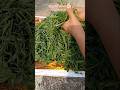 खेसारी का साग💯💯 #recipe #viral #saag #shorts #food #cooking #easyrecipe