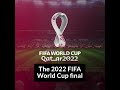 FIFA World Cup 2022 Final Stadium #WorldCup #football #Shorts