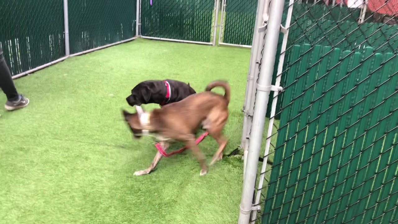 camera iphone 8 plus apk Africa 52882 and Don Draper 52214 NYCACC