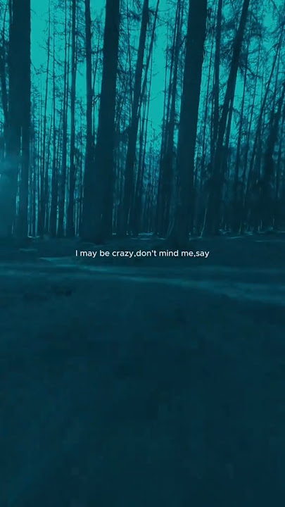 Shape of you - Justin Bieber #music #englishsongs #songlyrics #lyricvideo