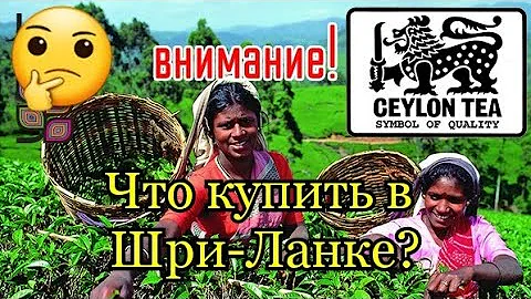 Шри Ланка 2022 Очень нужные покупки!  чай в Шри-Ланке