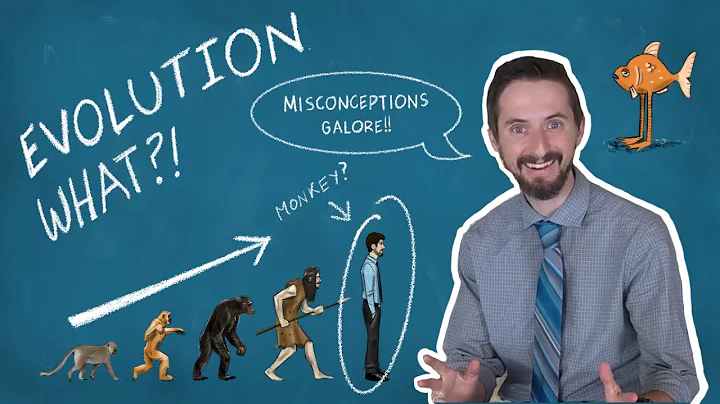 Top 5 Evolution Misconceptions