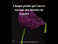 l'alchimie florale