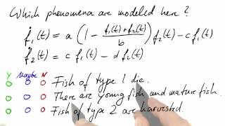 Two Types of Fish - Differential Equations in Action