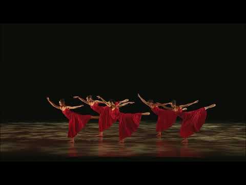 「　野に咲く　」相模原　【Blooming in the Field】【相模原のバレエ教室】　キプスバレエ #ballet #相模原バレエ #バレエ
