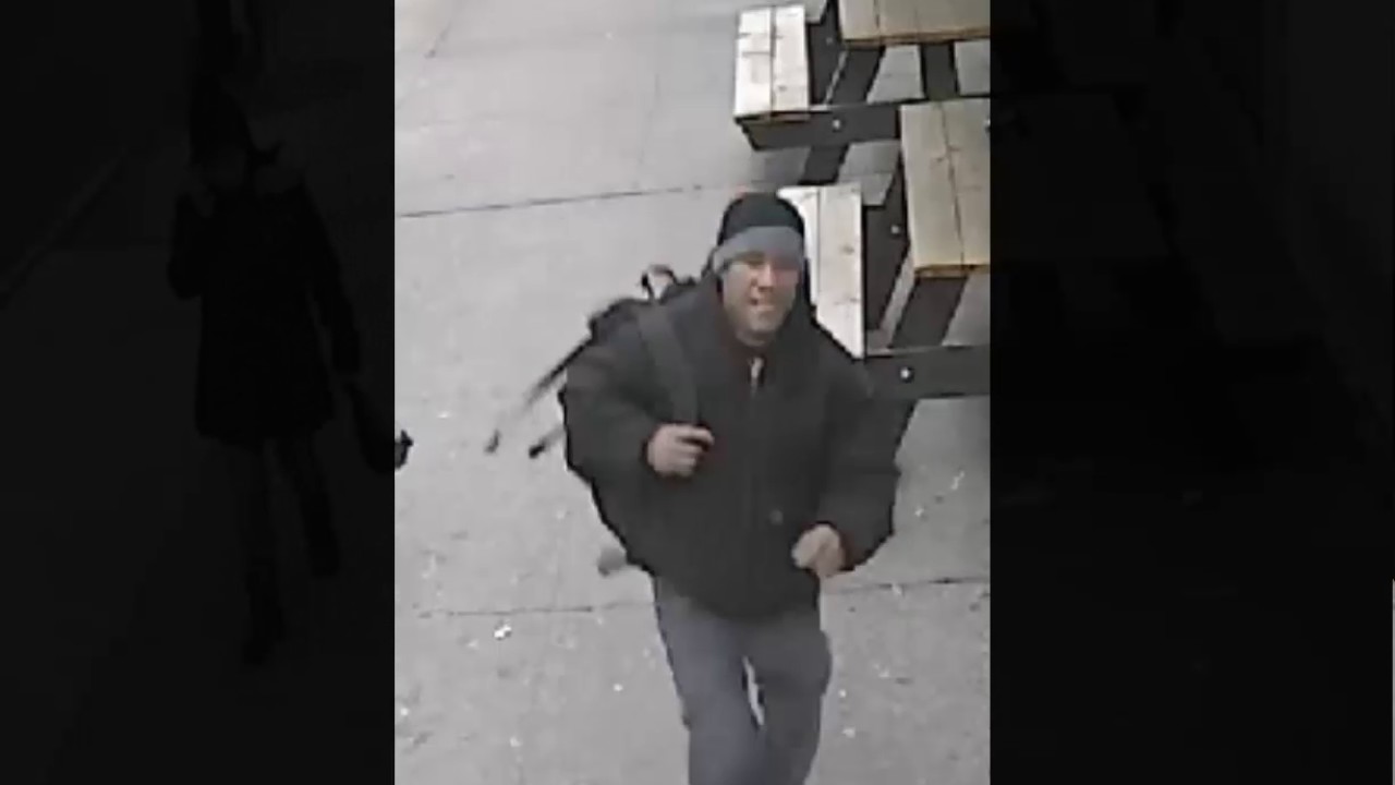 new york city zip code Gunpoint Robber Bushwick