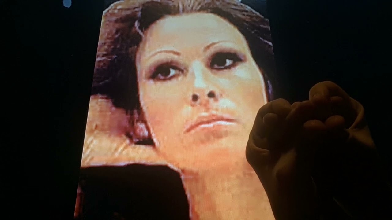 Horacio the handsnake - Greta Vaillant