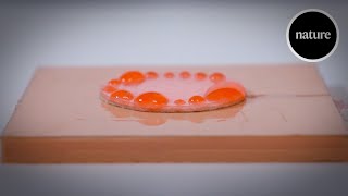 No sweat: Moisture-wicking device keeps wearable-tech dry by nature video 18,122 views 2 months ago 2 minutes, 11 seconds