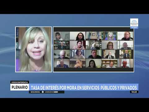 SDORA. M. DE LOS ÁNGELES SACNUN 3 - PLENARIO AS. CONSTITUCIONALES Y DERECHOS 13-07-21