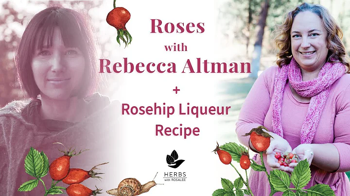 Roses with Rebecca Altman + Rosehip Liqueur Recipe