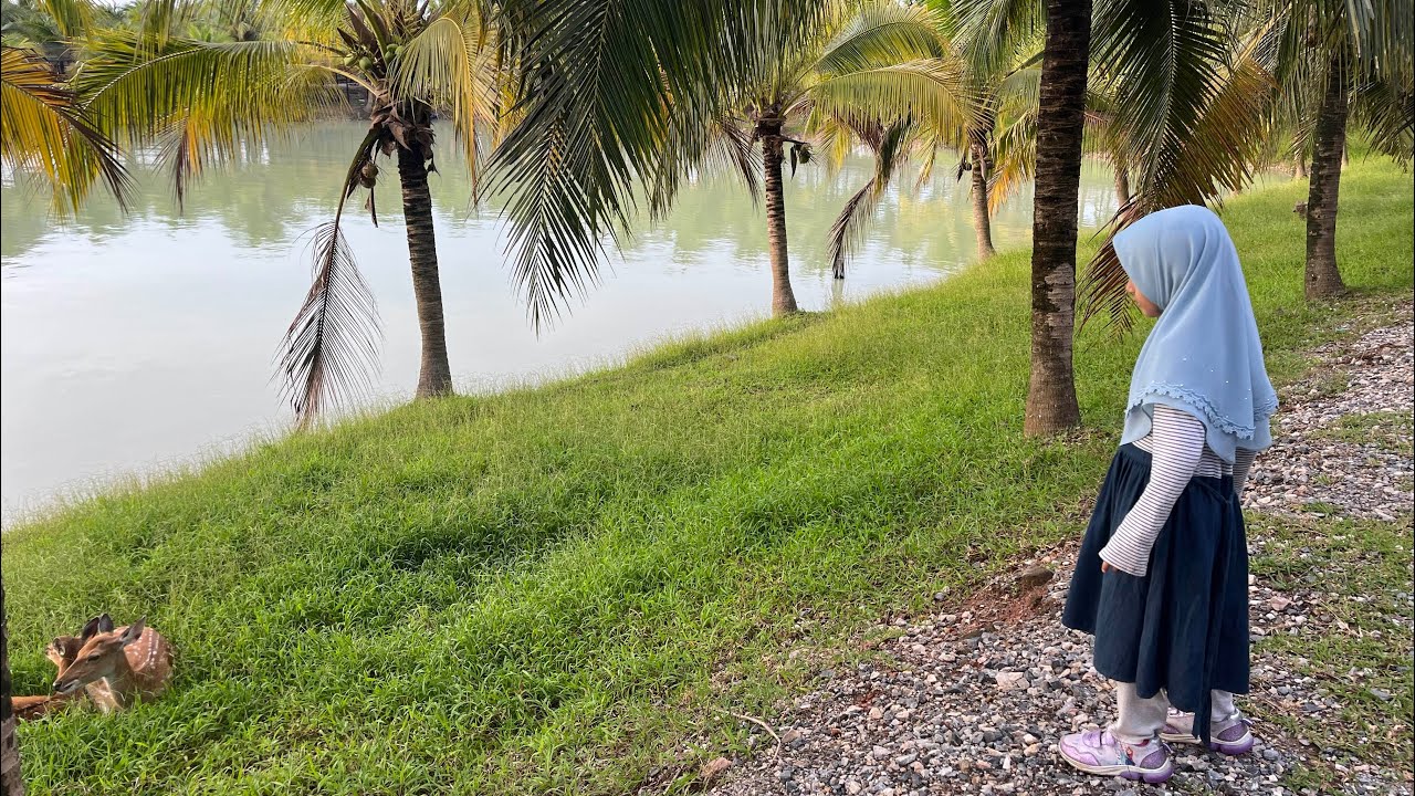 Travelog 170: Trip Pattani-Narathiwat Thailand Part 2 | CS Pattani hotel | train at Suai Bai Jai Ni