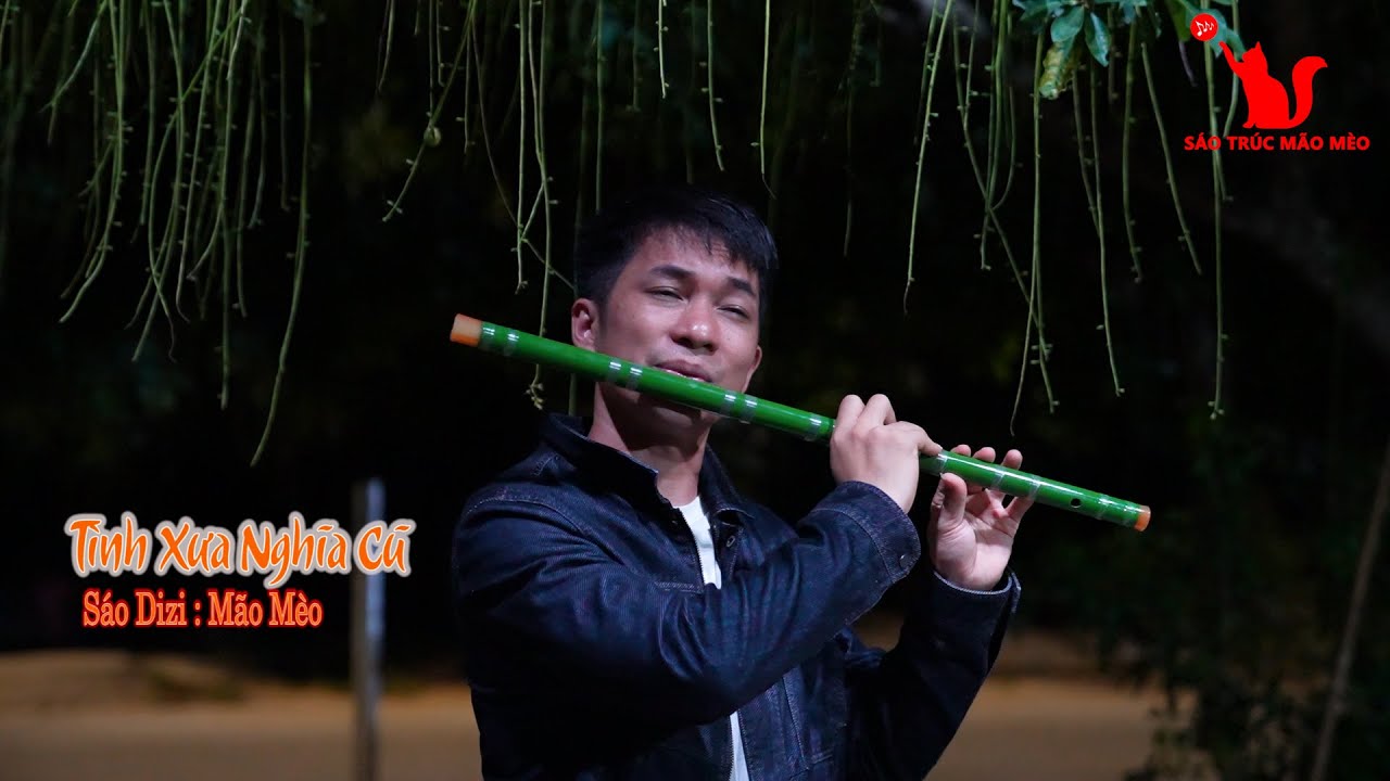 Tình xưa nghĩa cũ : cover by Mão Mèo - YouTube