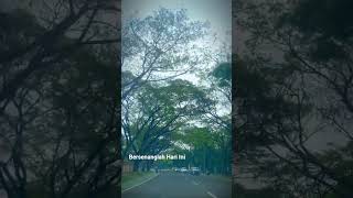 Jalan Kenangan Bandung Barat #nature #explore #shortsvideo #weather #lovesong #travel #wisata #fyp