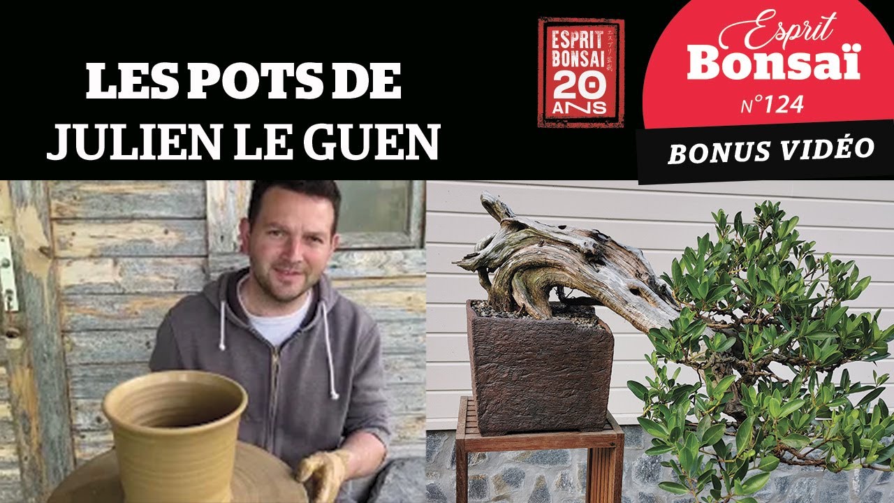 Les pots de Julien Le Guen [Bonus Esprit Bonsaï 124]