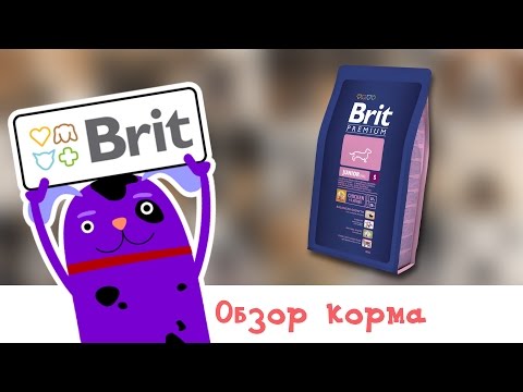 Обзор корма Brit Premium Junior S
