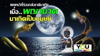 คุณเคยเป็นพญานาคประเภทใด(หน้าที่ 4 อย่างของพญานาค)