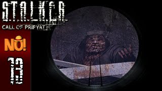 STALKER: Call of Pripyat [Part 13 - Lab X8] | TheStrawhatNO!