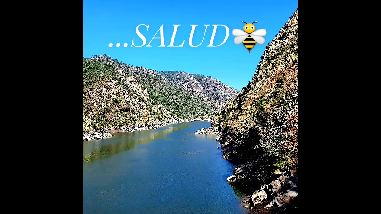Beneficios de la miel gallega de Galicia de montaña