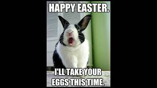Funny Easter memes #shorts #laugh #trynottolaugh #happy #shorts #easter #bunny #fyp