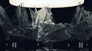 Experimental Speculative Architecture In Sidefx Houdini Process | Christopher Walch - SDWT Podcast